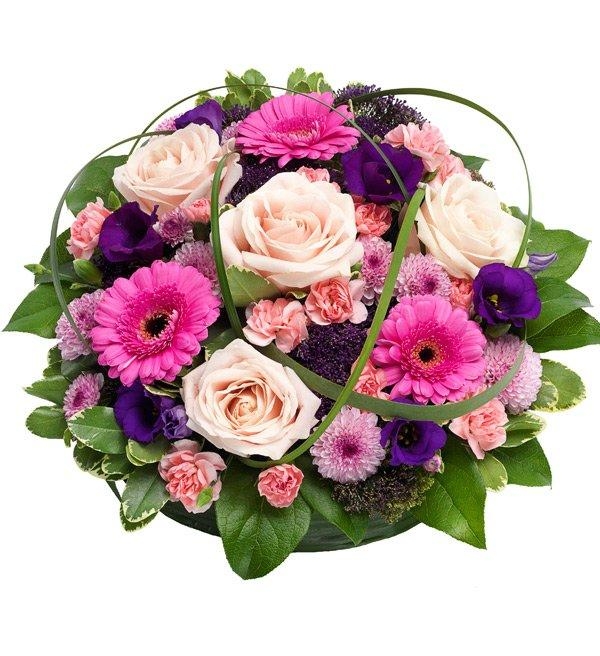 Posy: Pink and Purple