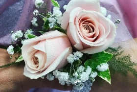 Pale pink rose wrist corsage